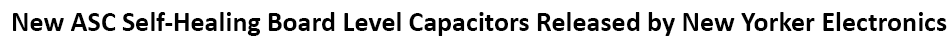 ASC Capacitors self-healing double-sided metallized polyester film electrodes BLF (Board Level Filter) and BLS (Board Level Snubber) Capacitor Series, non-inductive wound