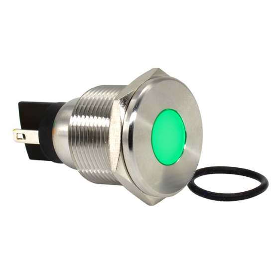 Picture of IN19ASMGB110C
